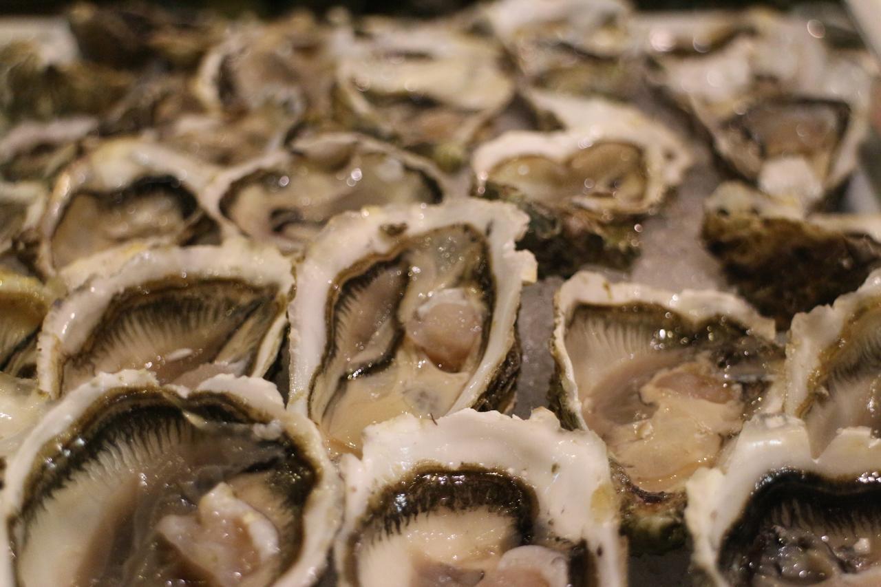 Kenzi Club Agdal Medina Otel Lahebichate Dış mekan fotoğraf Oysters